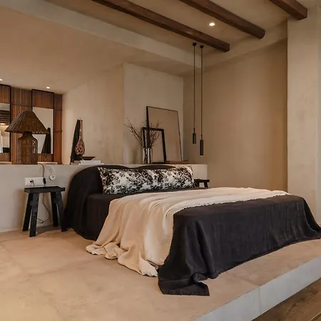 מלון דירות Tesoro Elegant Escapes- Naxos City